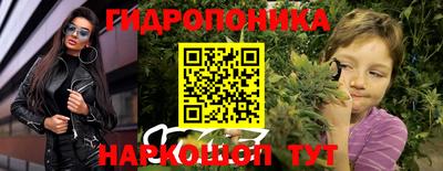 соль ск Лесосибирск