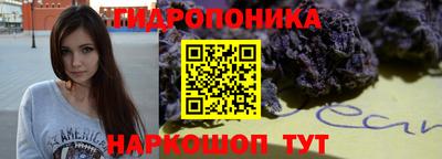 соль ск Лесосибирск