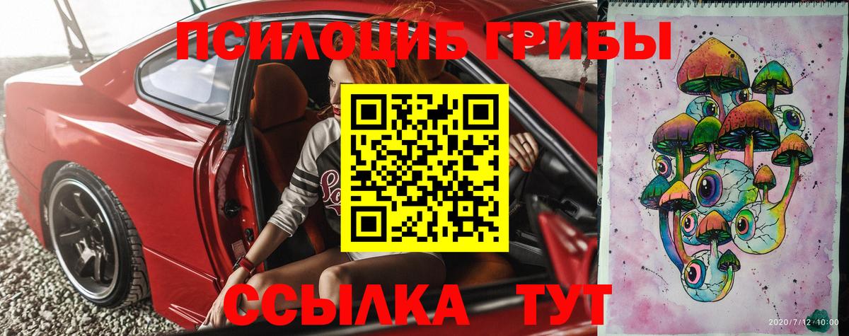 Киров  Галлюциногенные грибы Psilocybine cubensis  Вход с VPN 